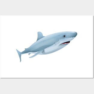 Shark Posters and Art